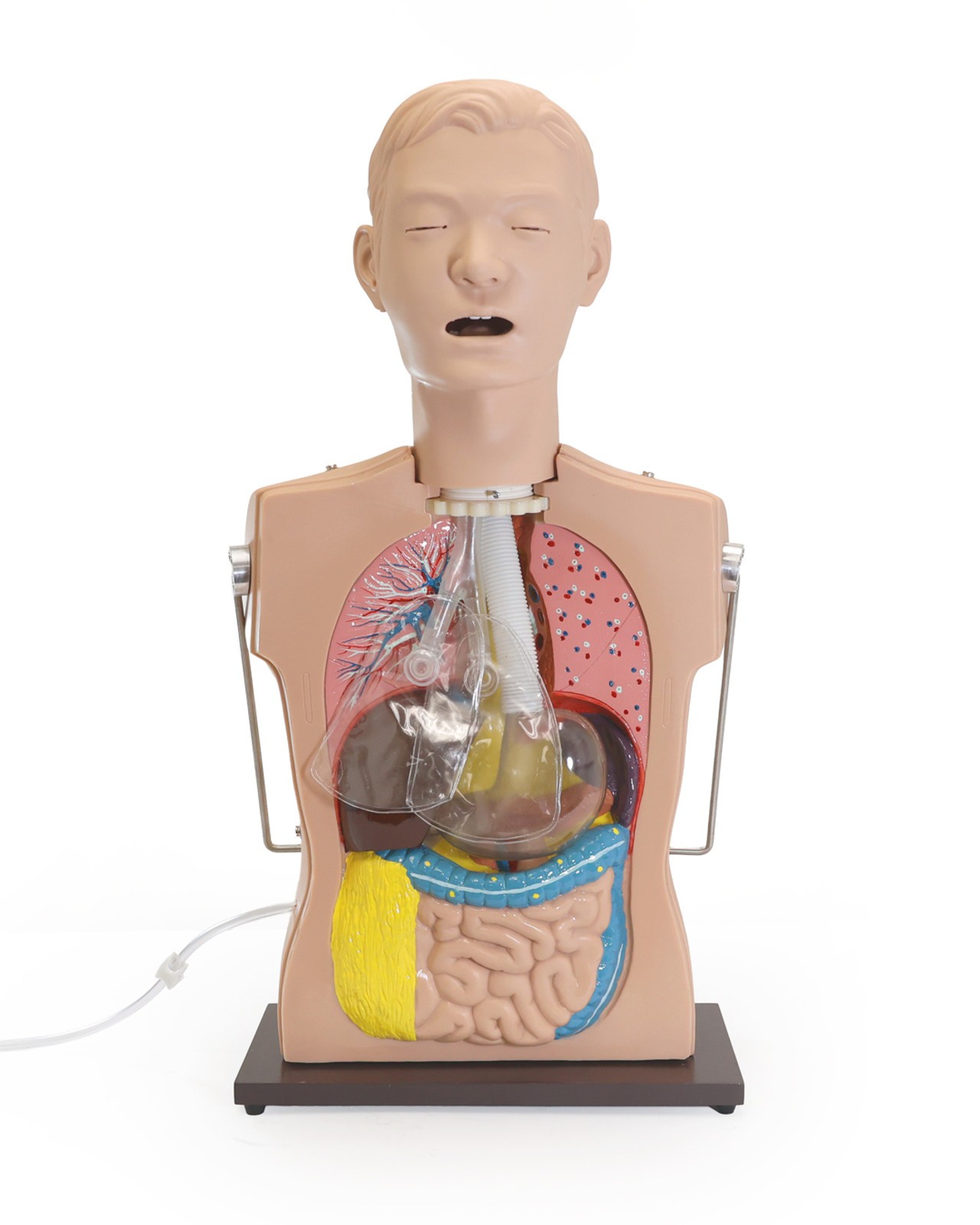 Anatomy Lab NG Tube and Tracheal Care Simulator