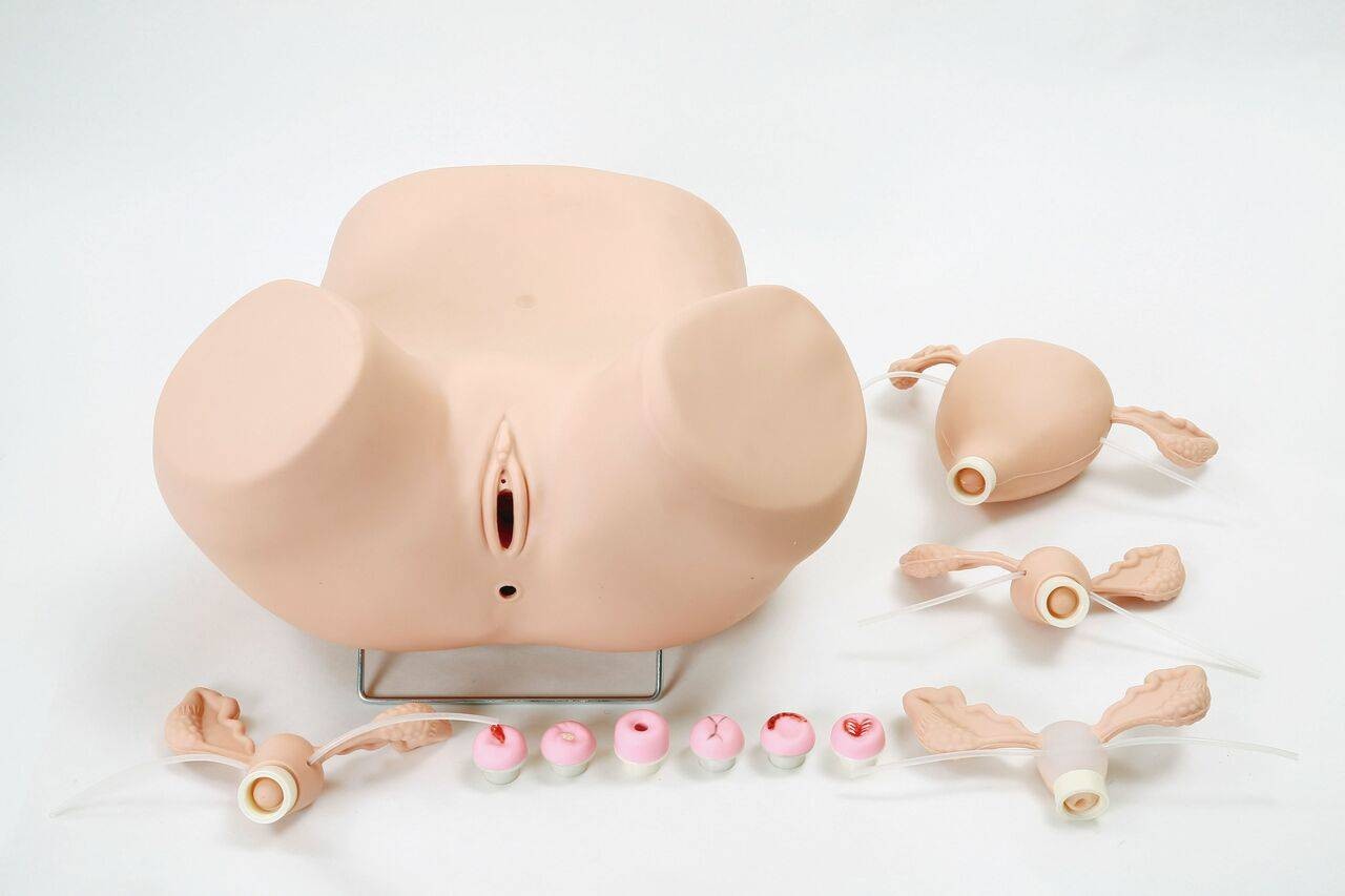 Anatomy Lab Advanced Gynecologic Simulator