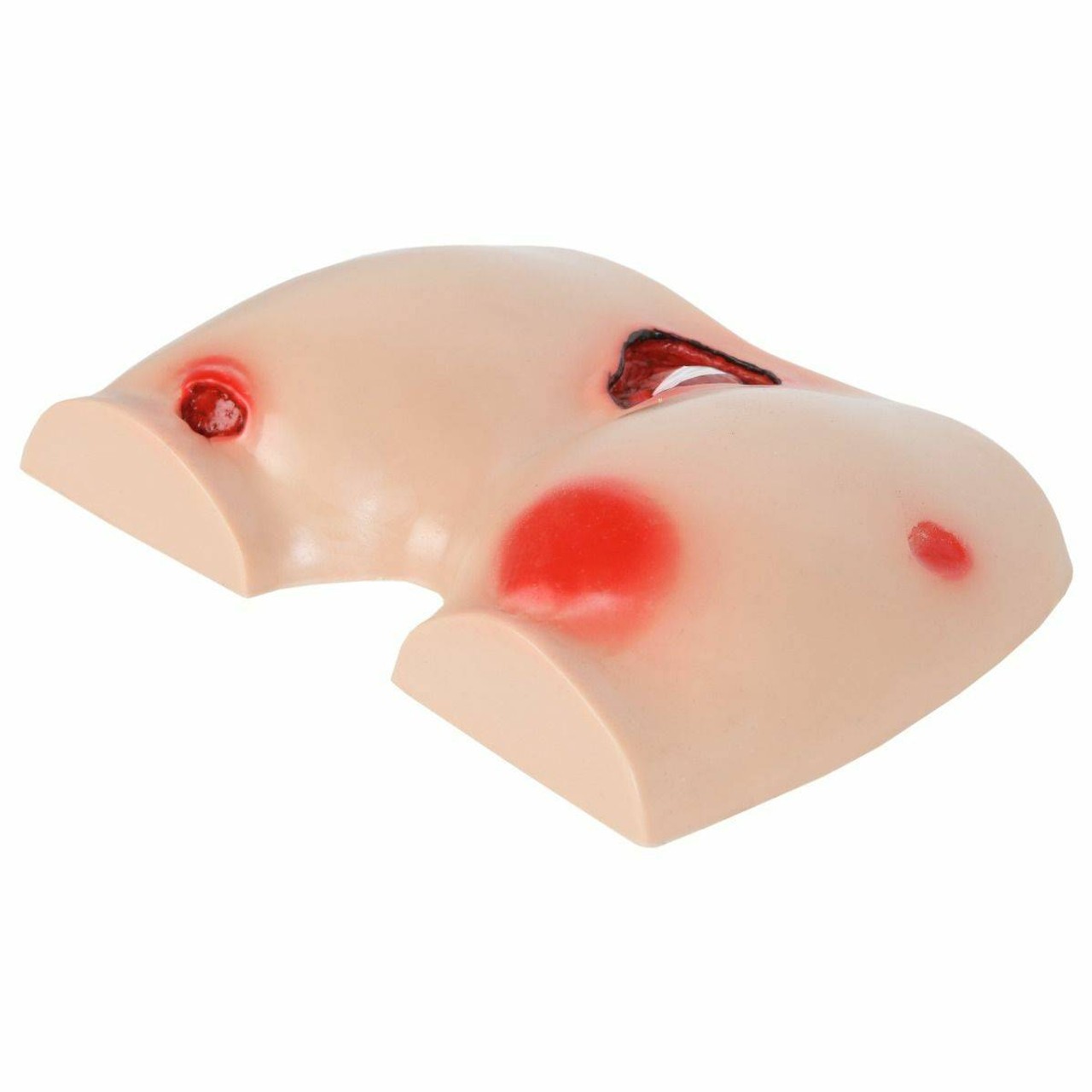 Anatomy Lab Bedsore Cleansing and Dressing Model