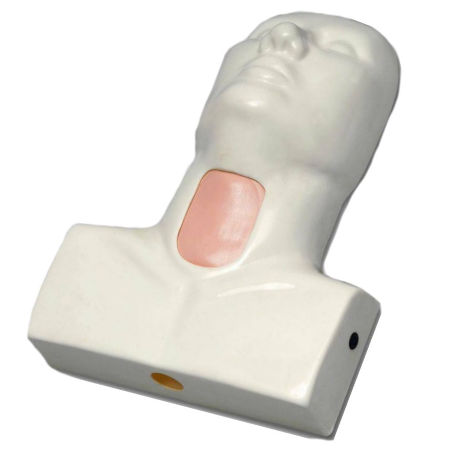Anatomy Lab Cricotracheotomy Trainer