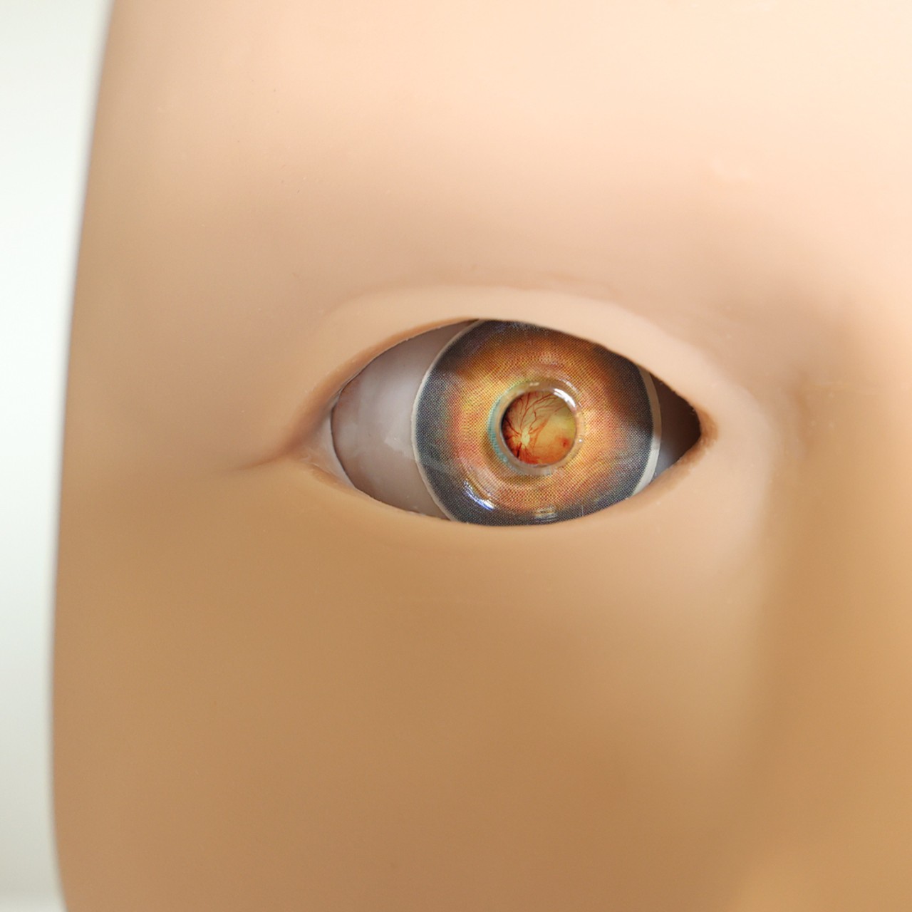 Anatomy Lab Eye Retinopathy Trainer