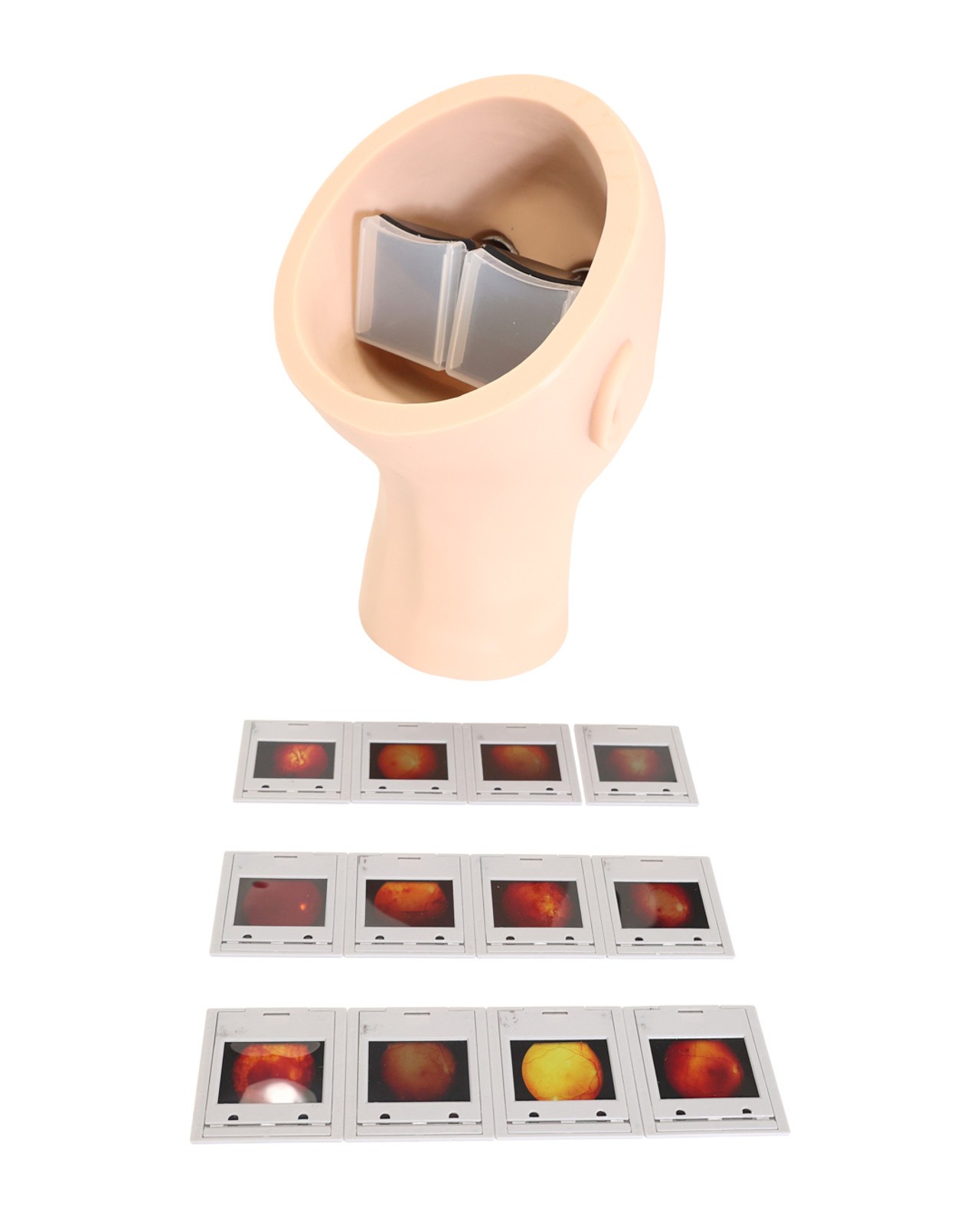 Anatomy Lab Eye Retinopathy Trainer