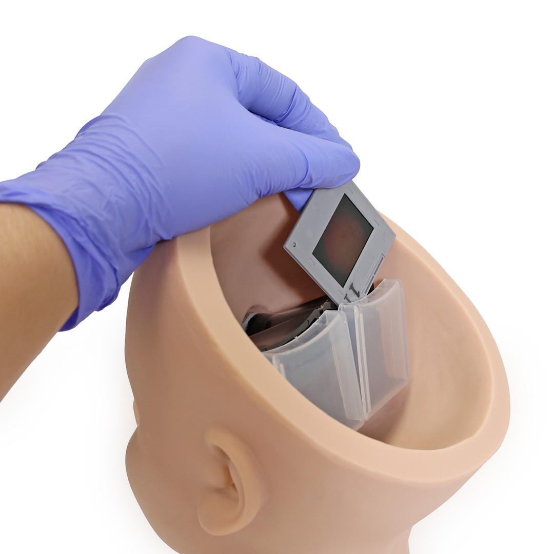 Anatomy Lab Eye Retinopathy Trainer | Anatomy Warehouse