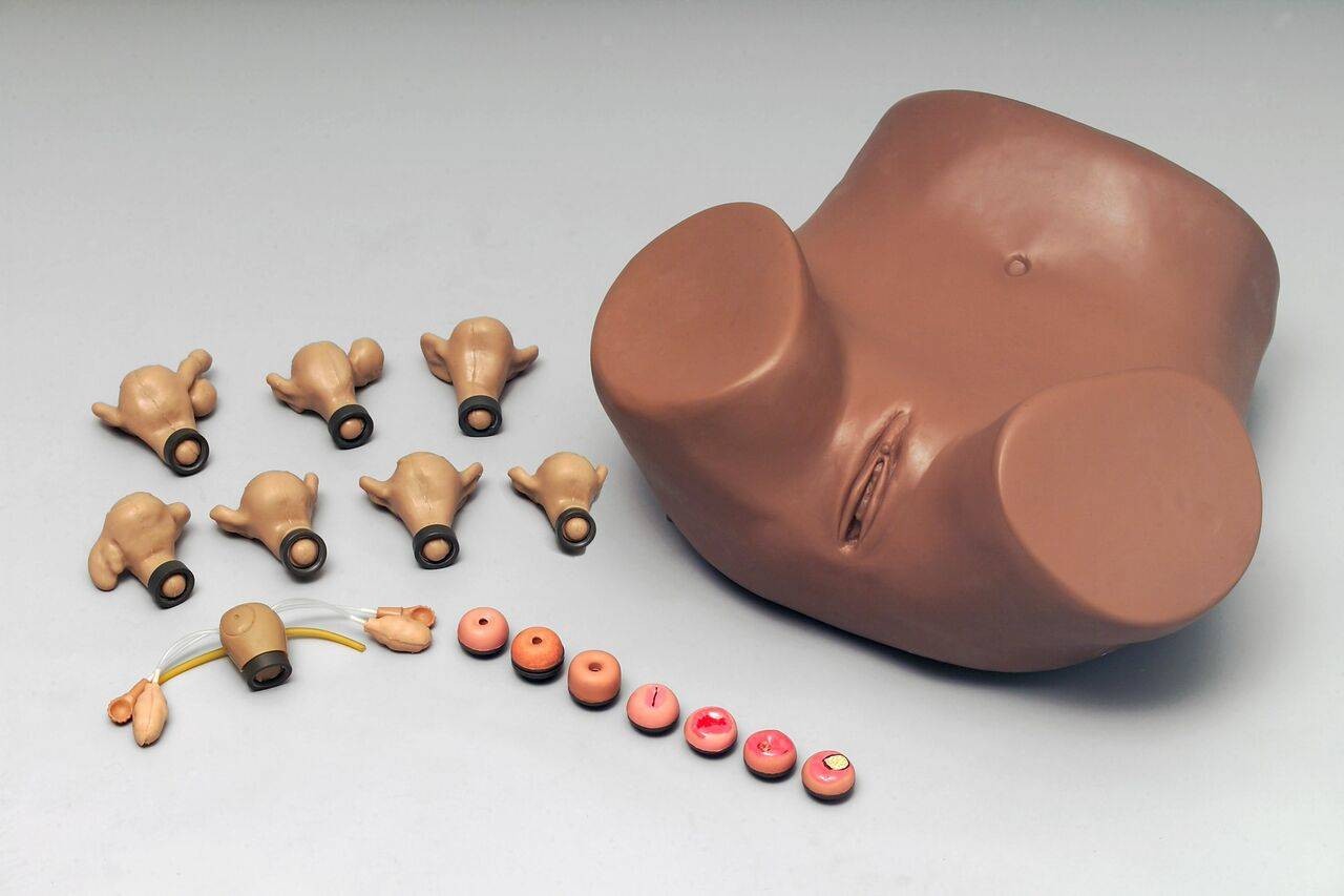 Anatomy Lab Gynecological Training Manikin