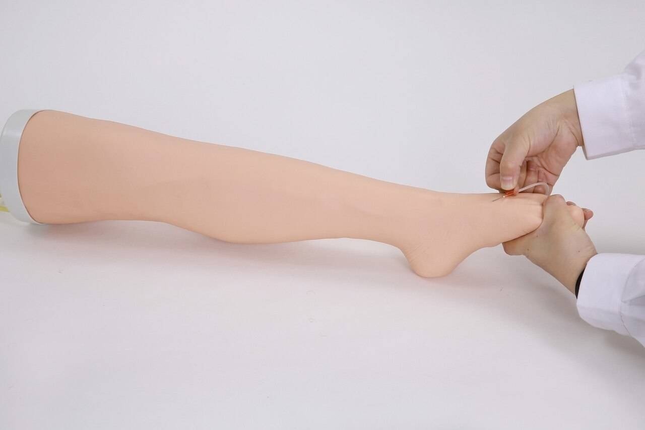 Anatomy Lab IV Training Leg