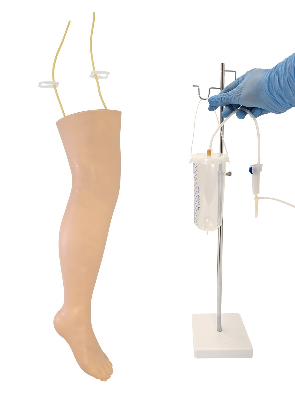 Anatomy Lab IV Training Leg