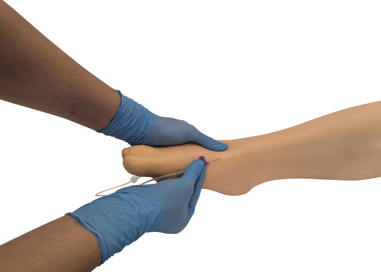 Anatomy Lab IV Training Leg