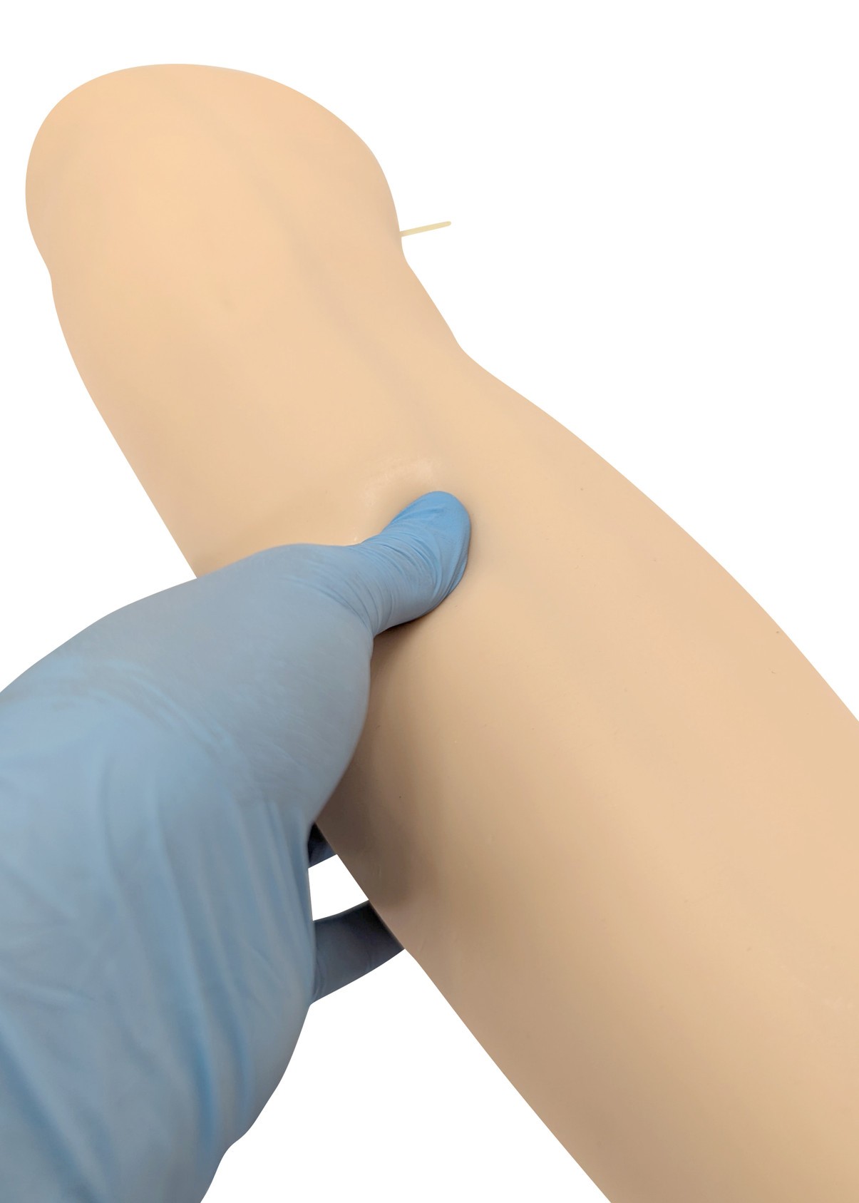 Anatomy Lab IV Training Leg