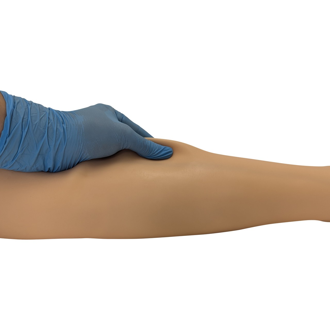 Anatomy Lab IV Training Leg