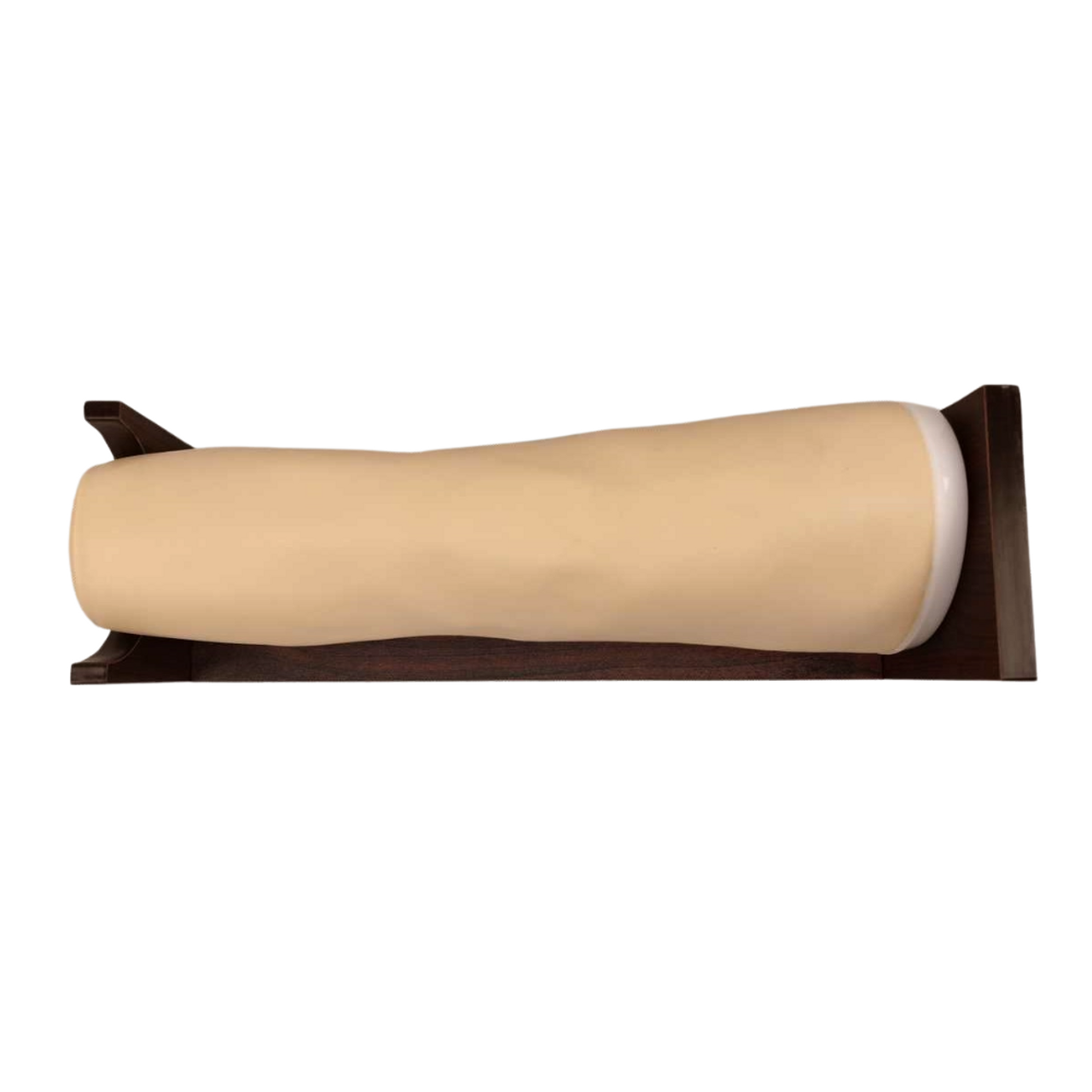 Anatomy Lab Knee for Joint Injection and Aspiration