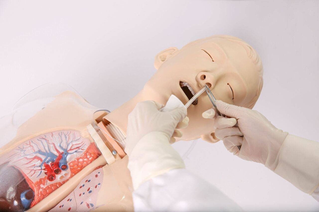 Anatomy Lab Multi-purpose Gastric Lavage Trainer