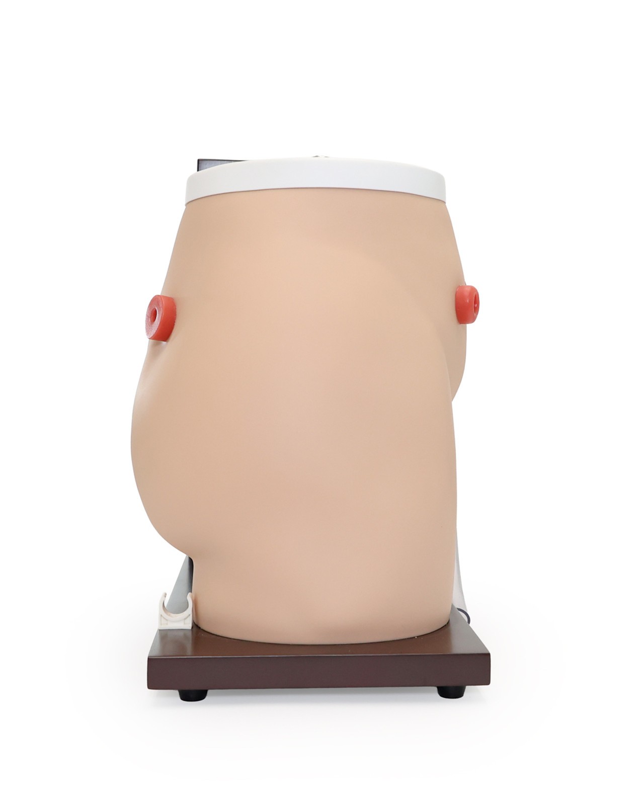 Anatomy Lab Ostomy Care Simulator