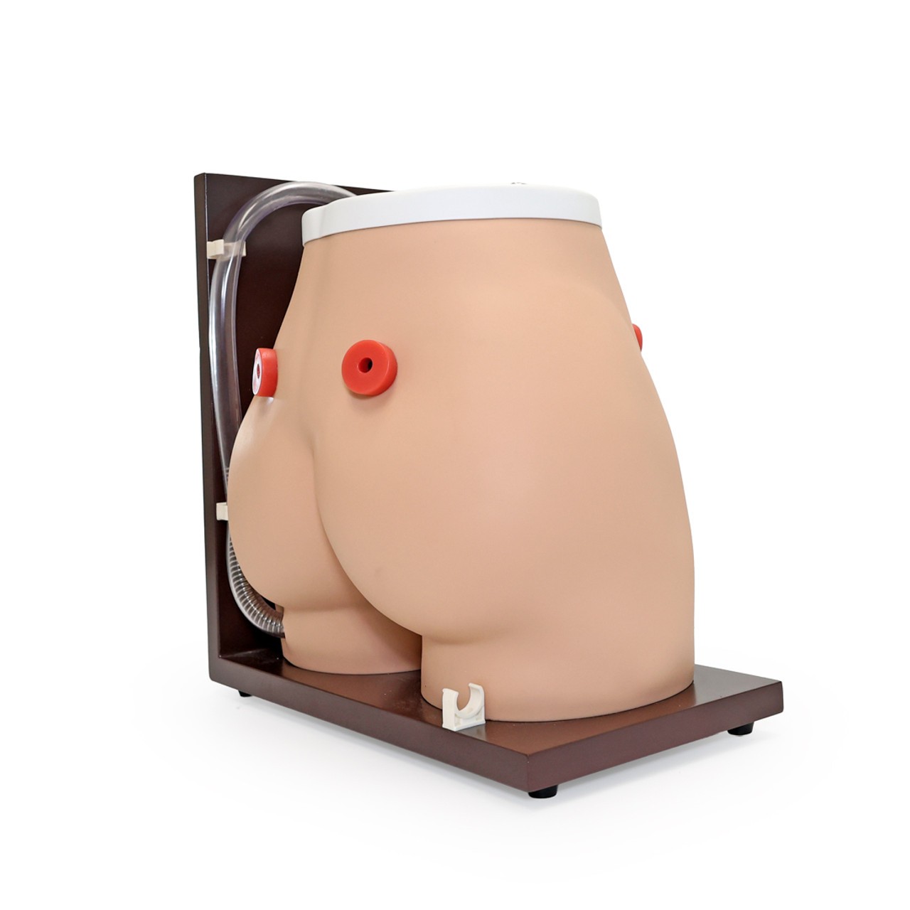 Anatomy Lab Ostomy Care Simulator