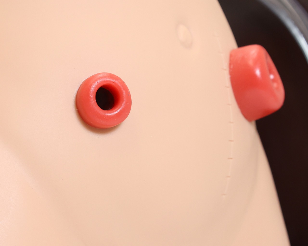 Anatomy Lab Ostomy Care Simulator