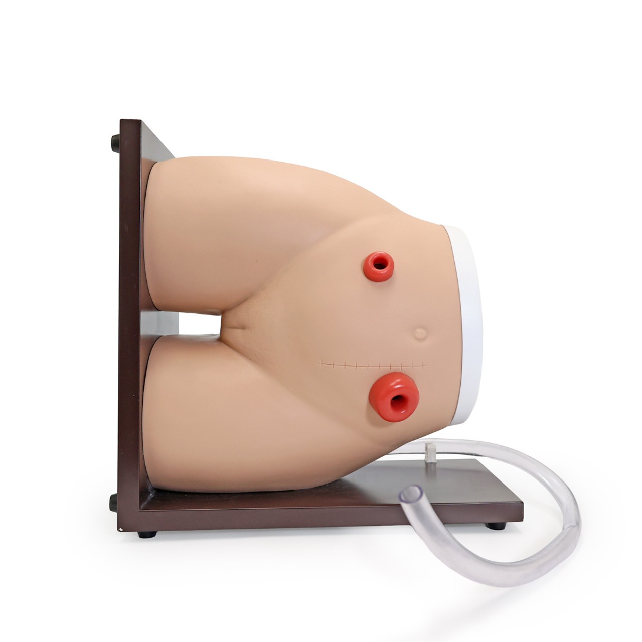 Anatomy Lab Ostomy Care Simulator