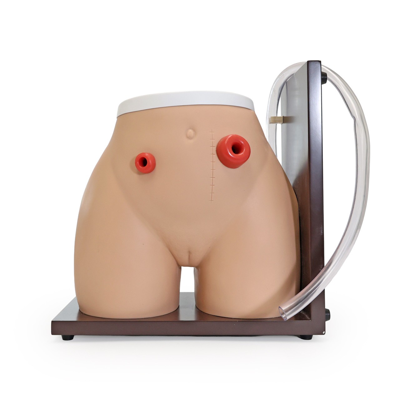 Anatomy Lab Ostomy Care Simulator