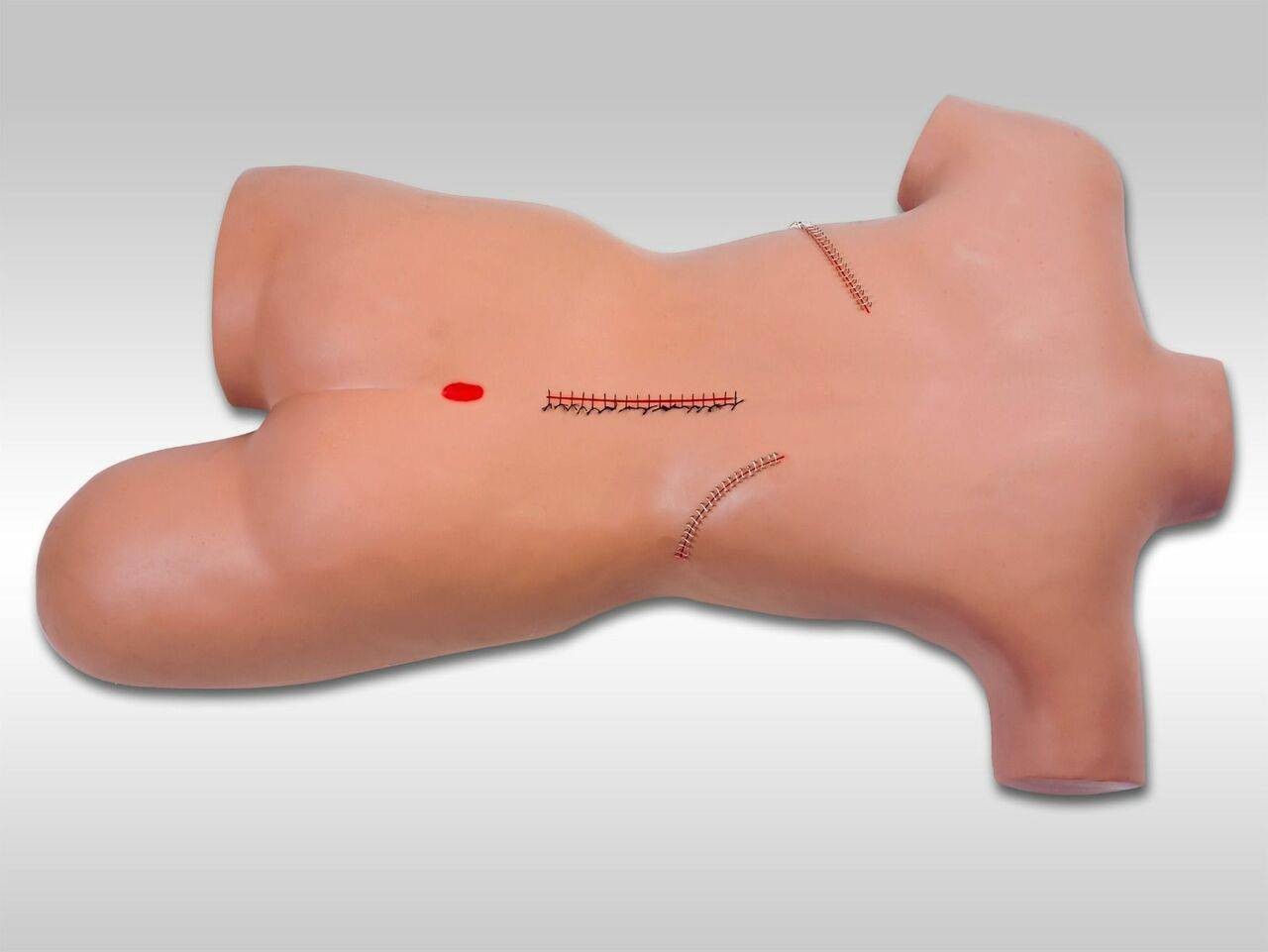 Anatomy Lab Surgical Bandaging Simulator