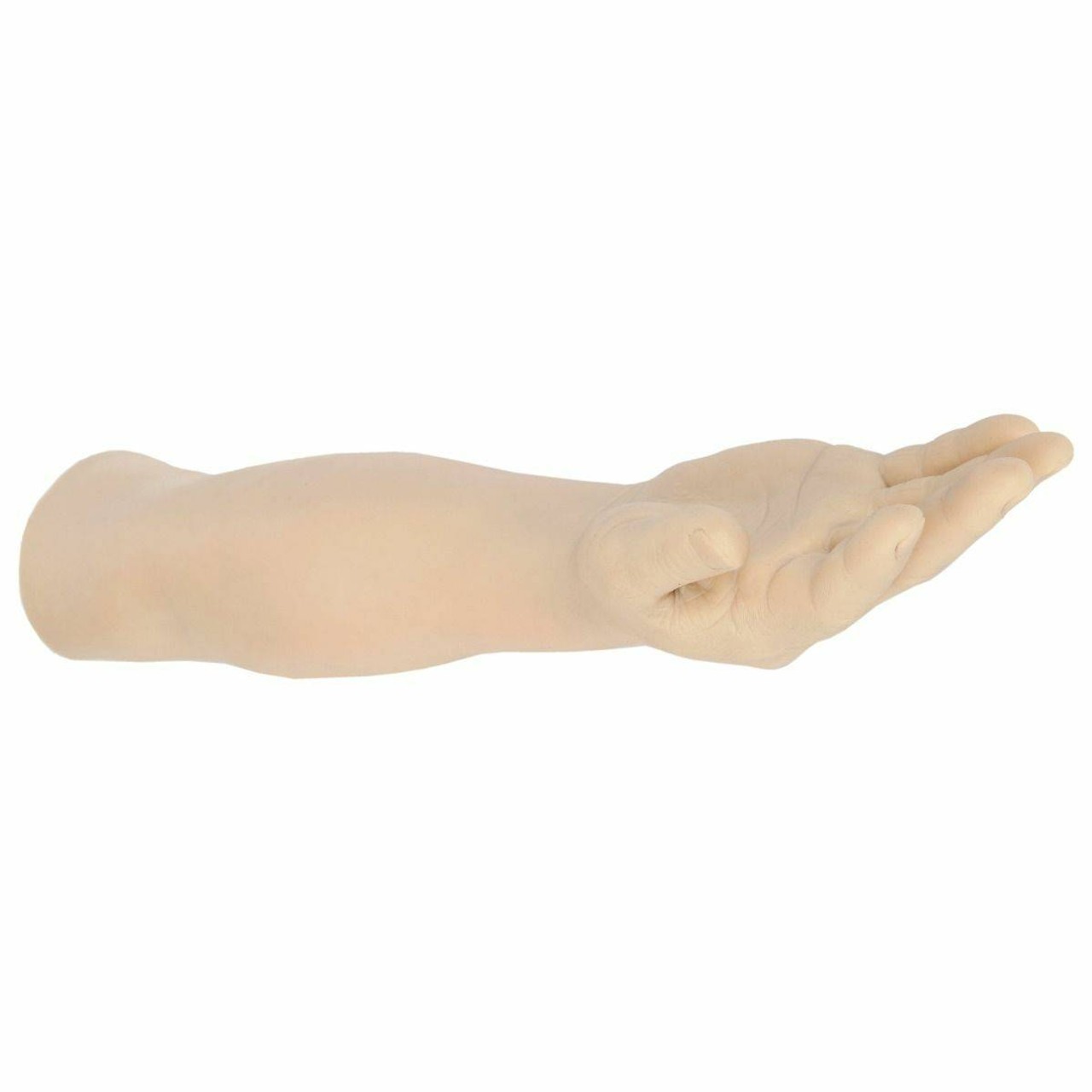 Anatomy Lab Suture Practice Arm