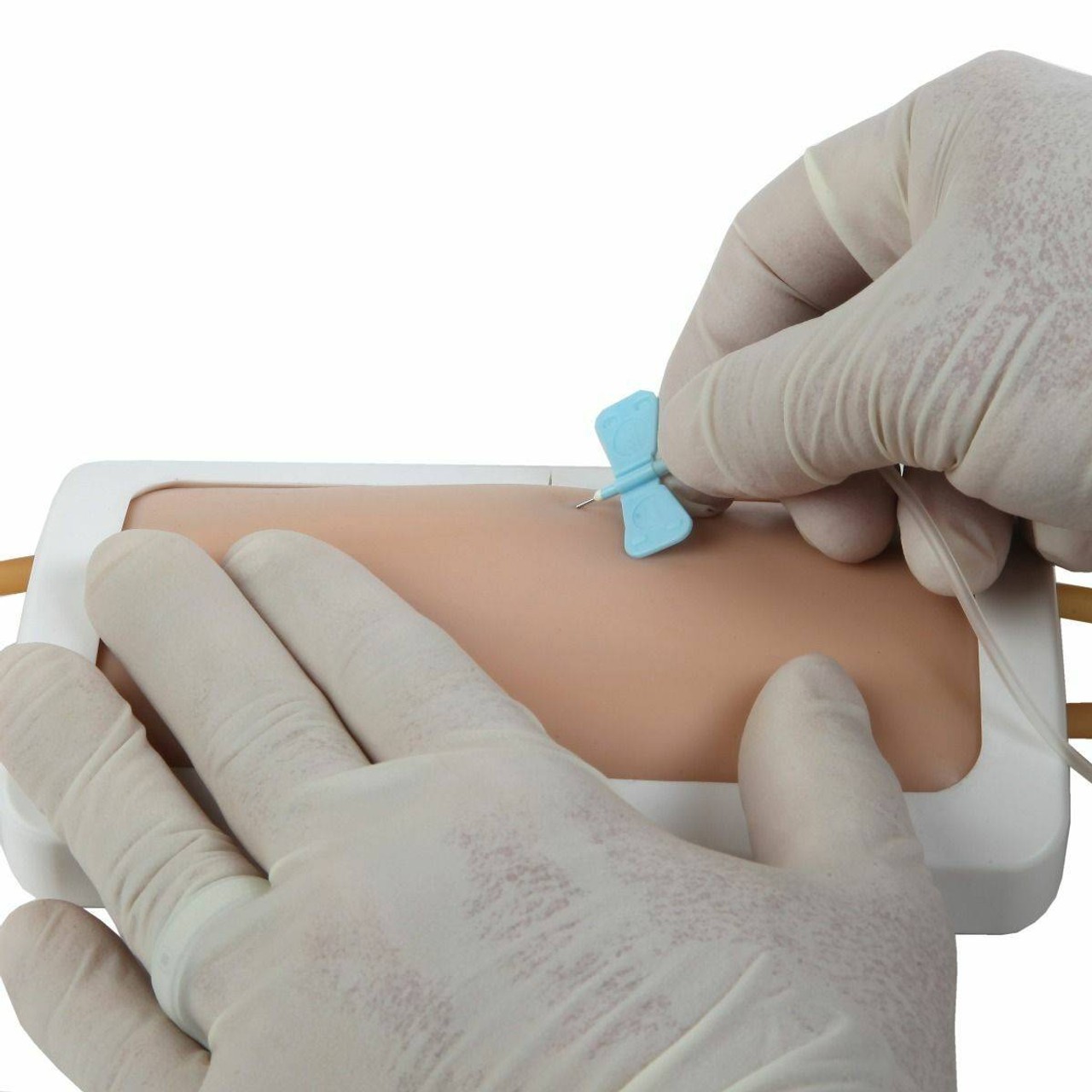 Anatomy Lab Venipuncture Pad