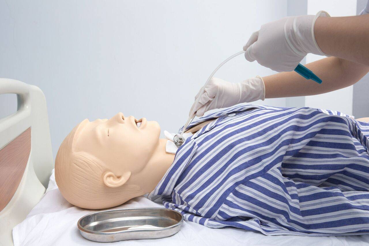 Anatomy Lab Venus Nursing