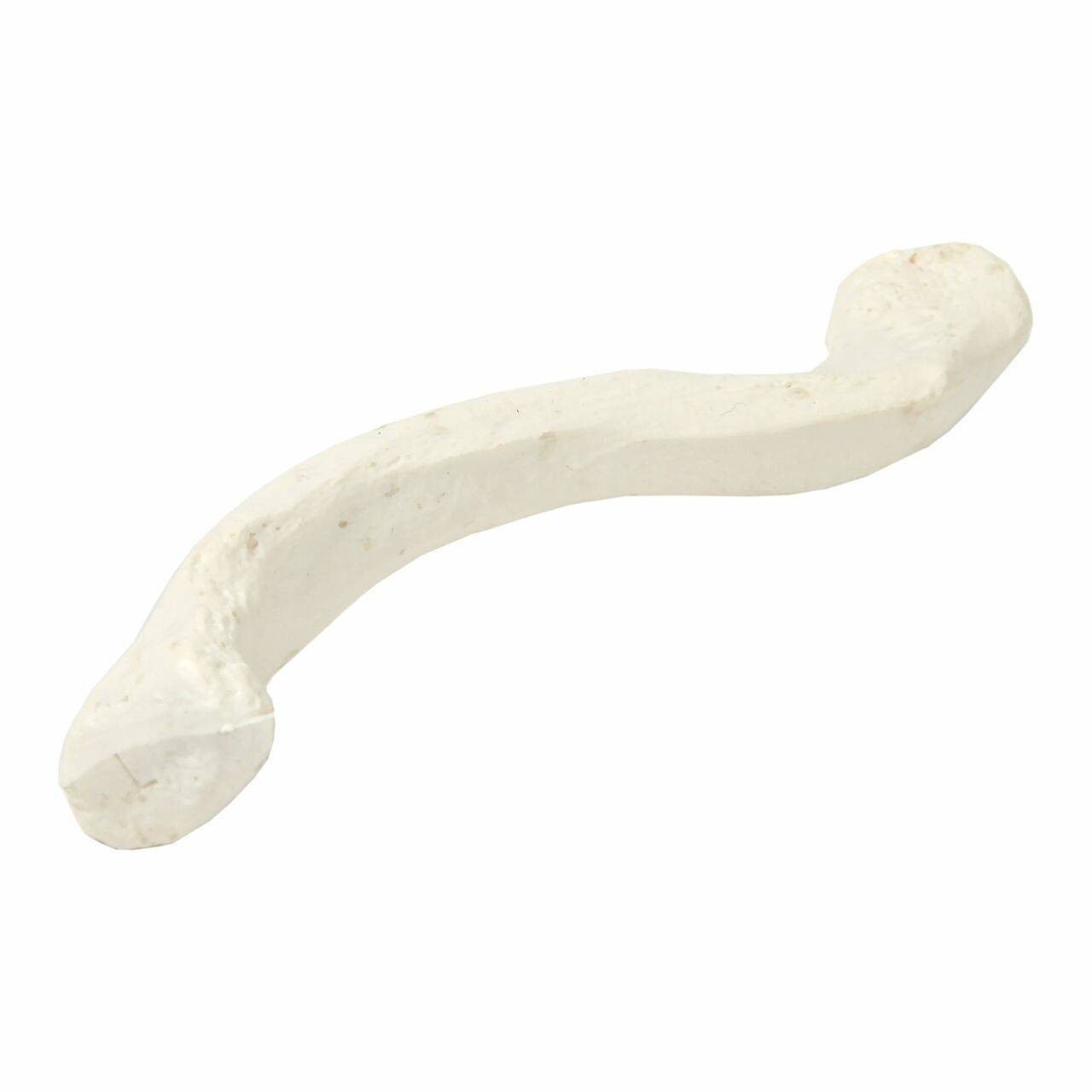 Axis Scientific Clavicle Bone