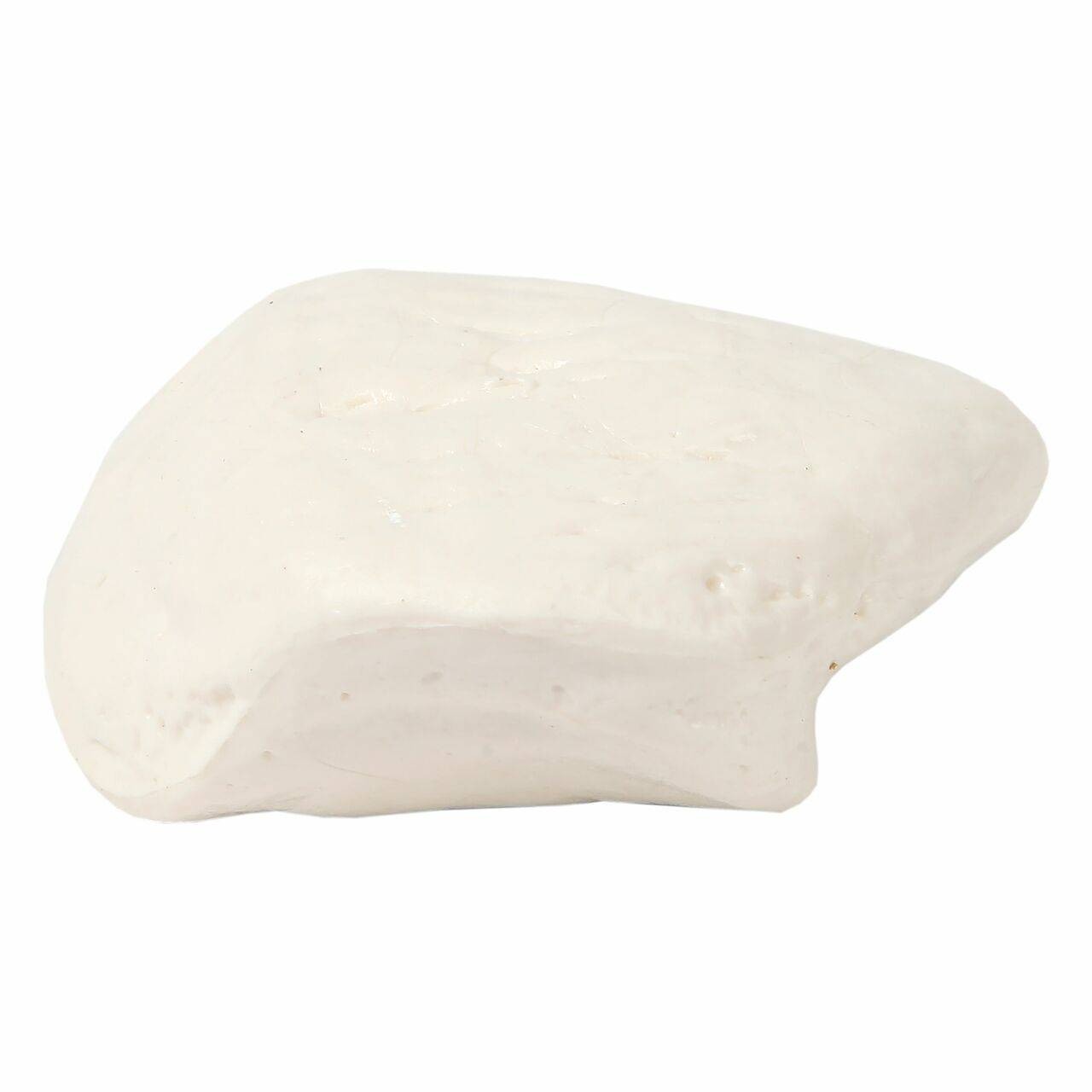 Axis Scientific Patella Bone