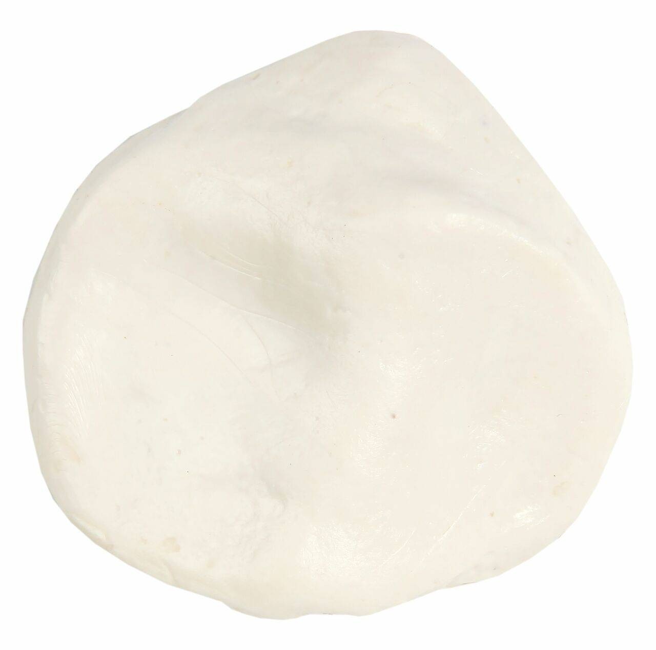 Axis Scientific Patella Bone