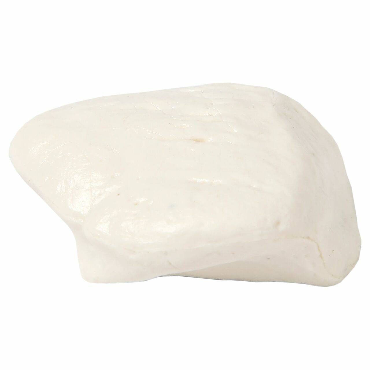 Axis Scientific Patella Bone