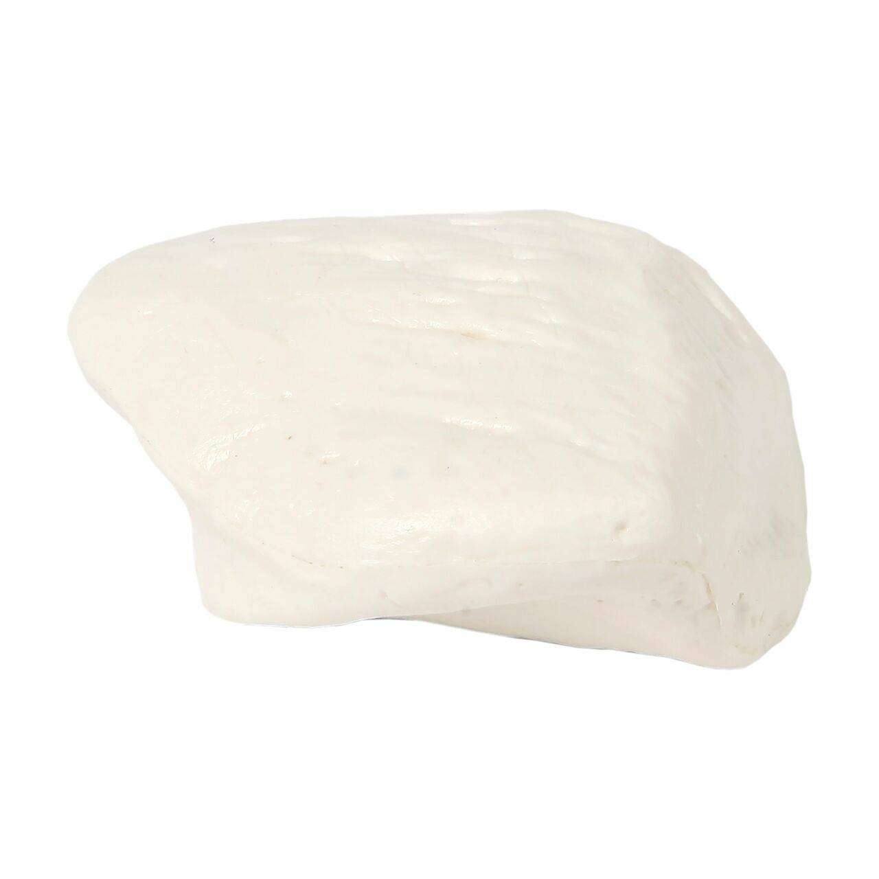 Axis Scientific Patella Bone