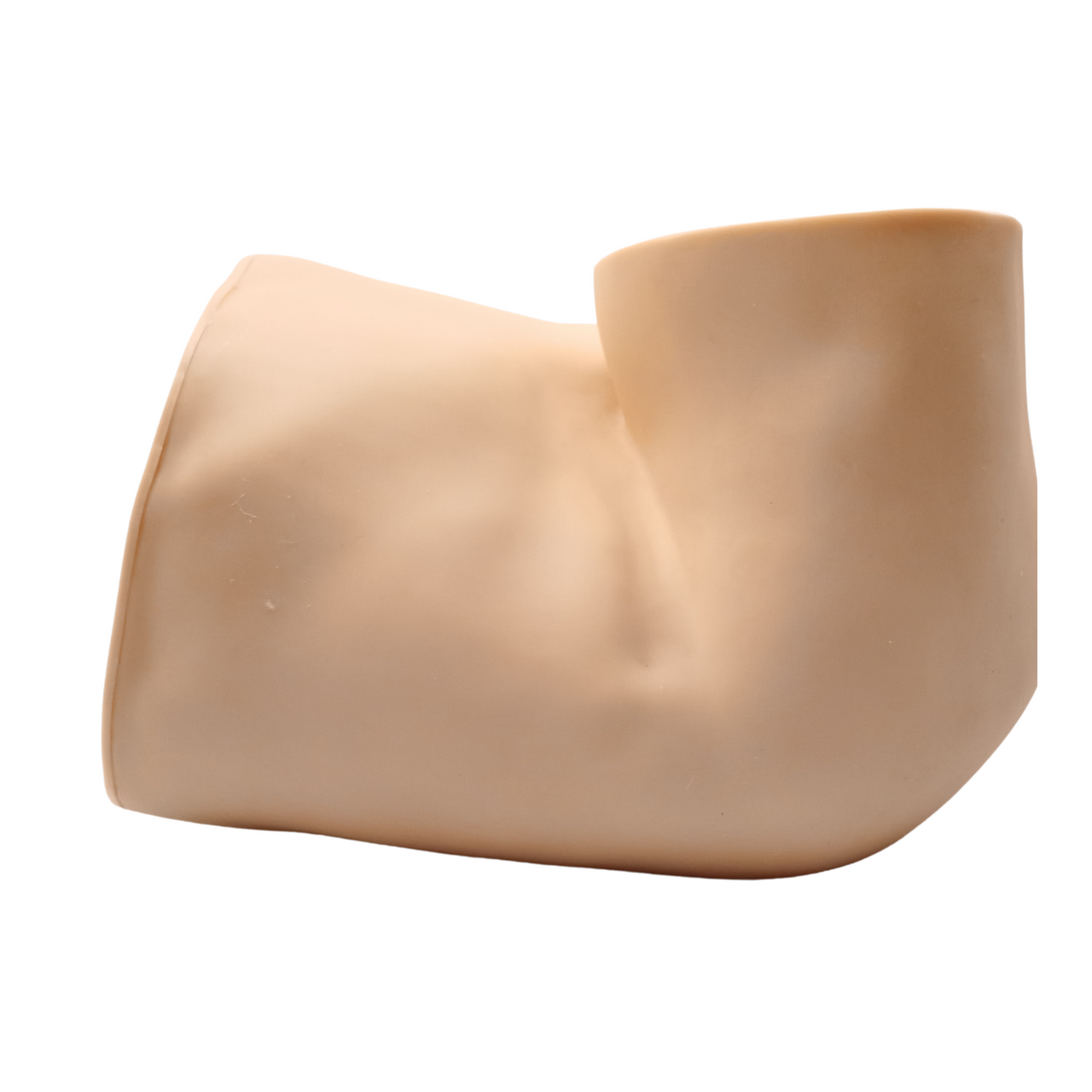 Anatomy Lab Advanced Rectal Touch Examination Model