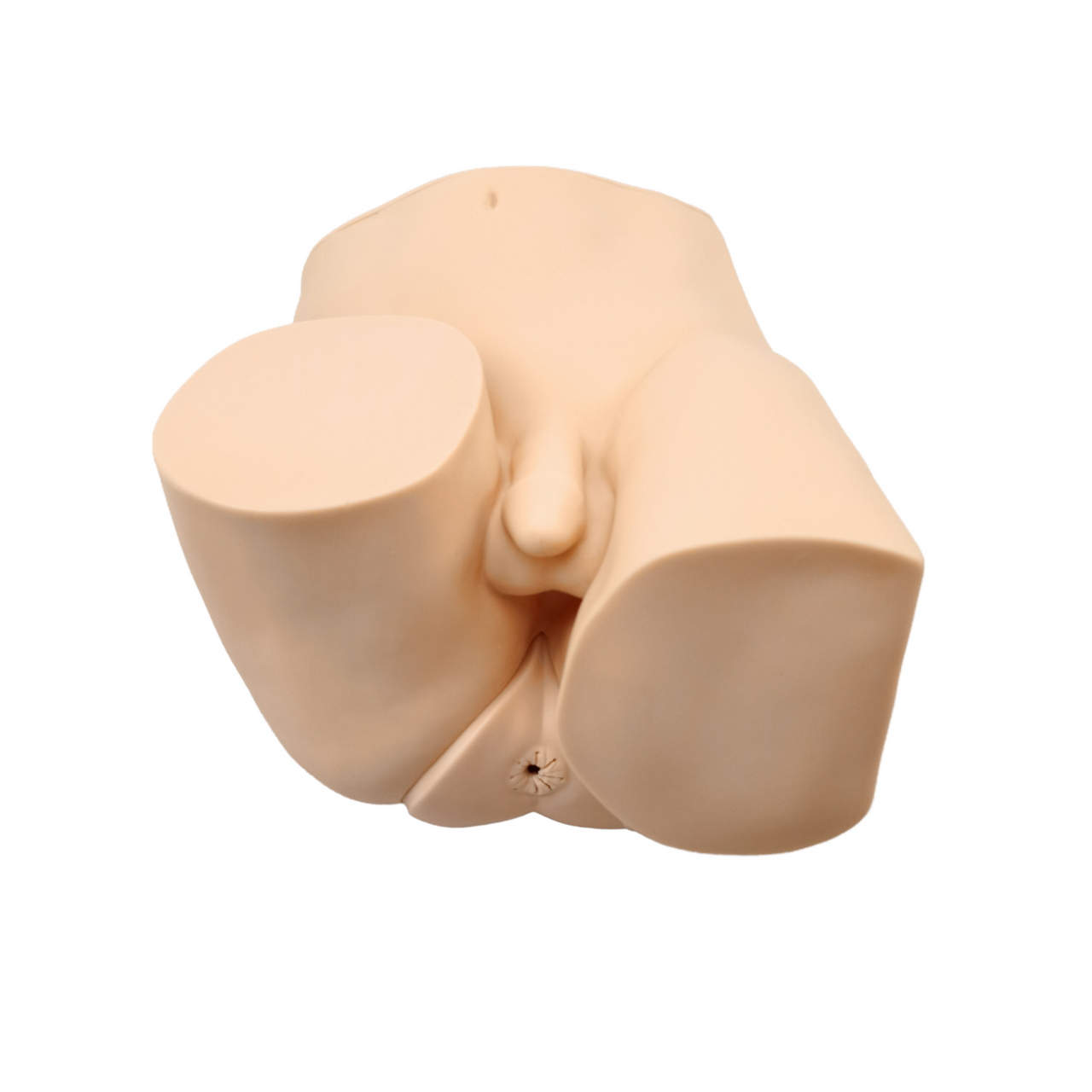 Anatomy Lab Advanced Rectal Touch Examination Model