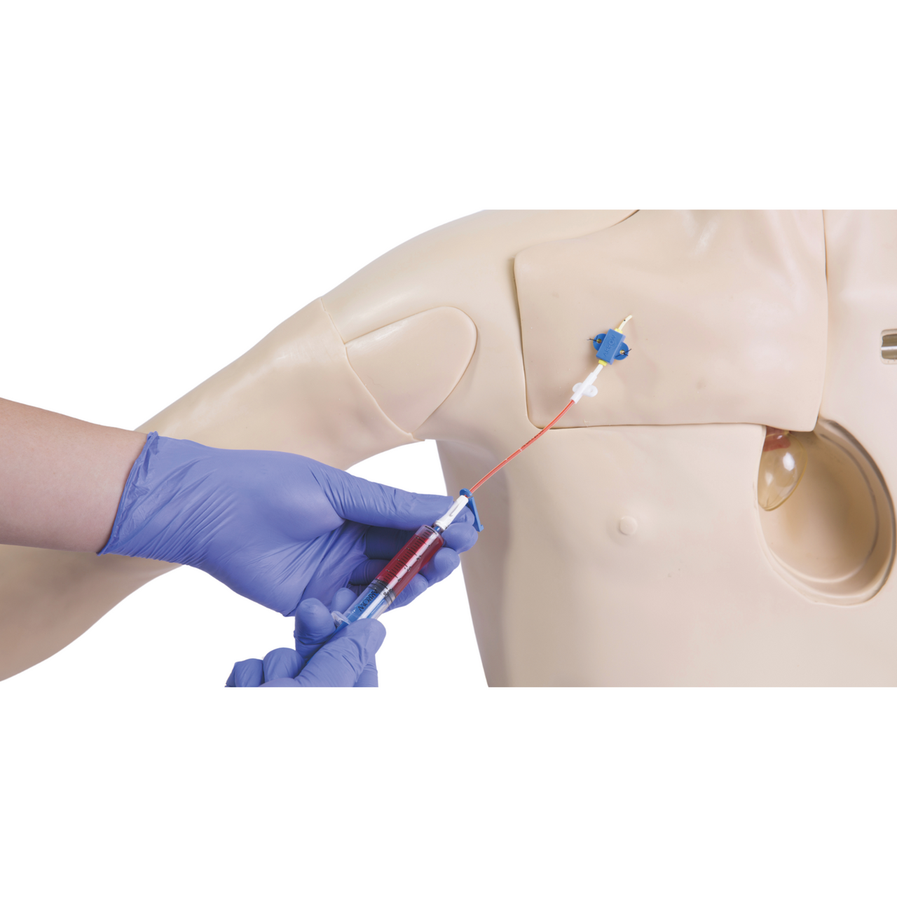 Anatomy Lab Central Venous Catheterization Simulator