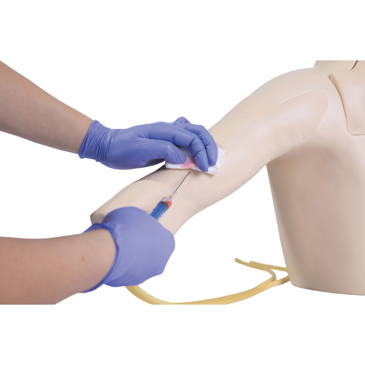 Anatomy Lab Central Venous Catheterization Simulator