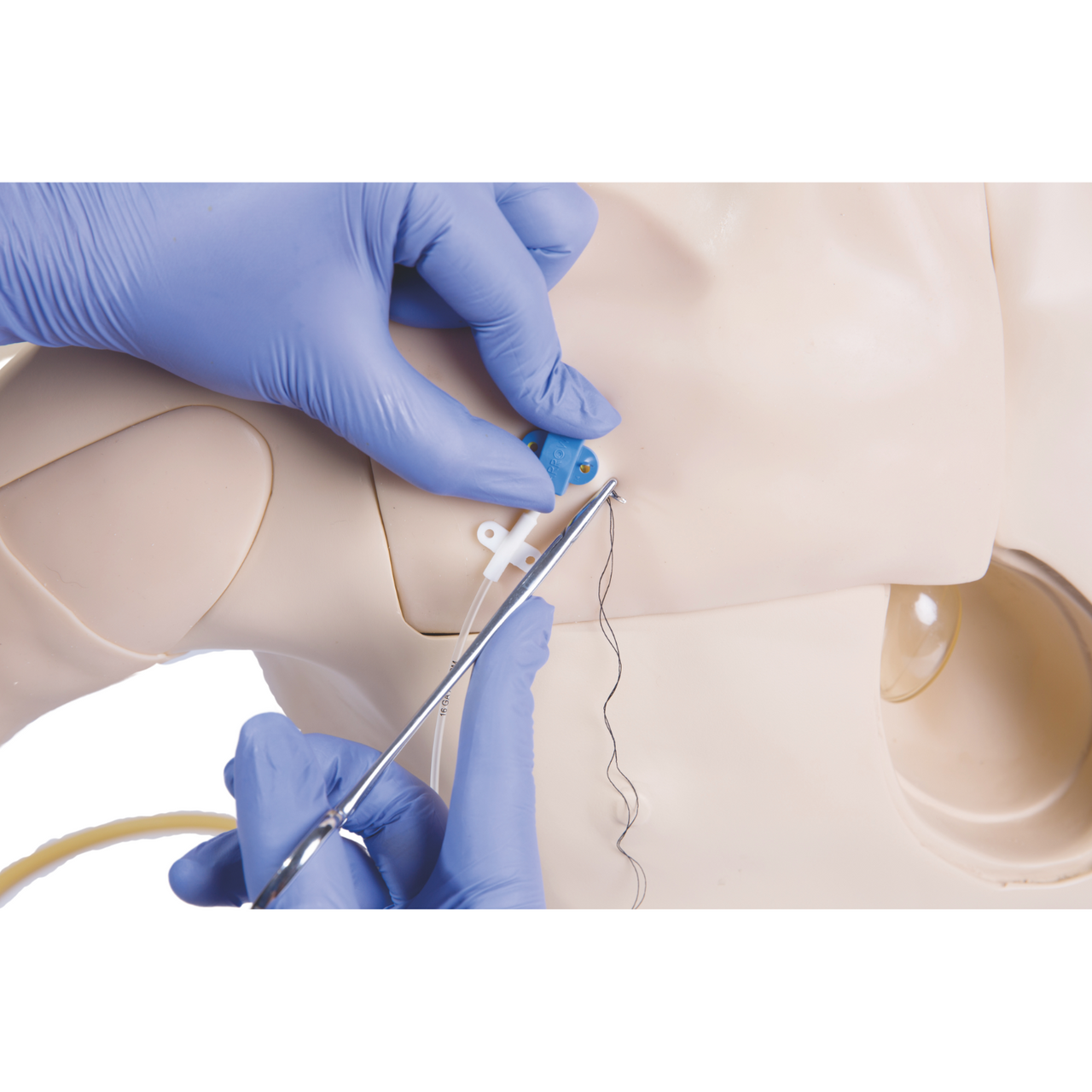 Anatomy Lab Central Venous Catheterization Simulator