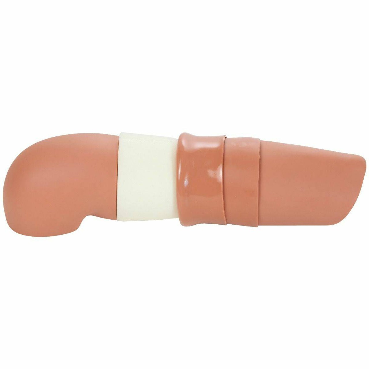 Anatomy Lab Subcutaneous Embedded Contraception Arm