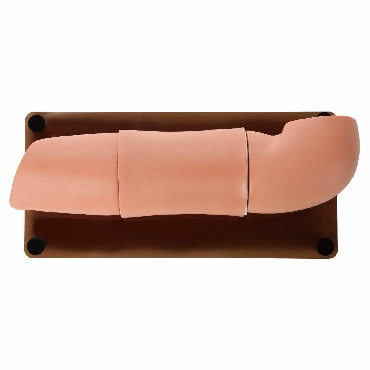 Anatomy Lab Subcutaneous Embedded Contraception Arm