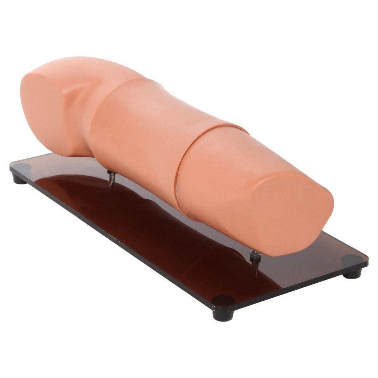 Anatomy Lab Subcutaneous Embedded Contraception Arm