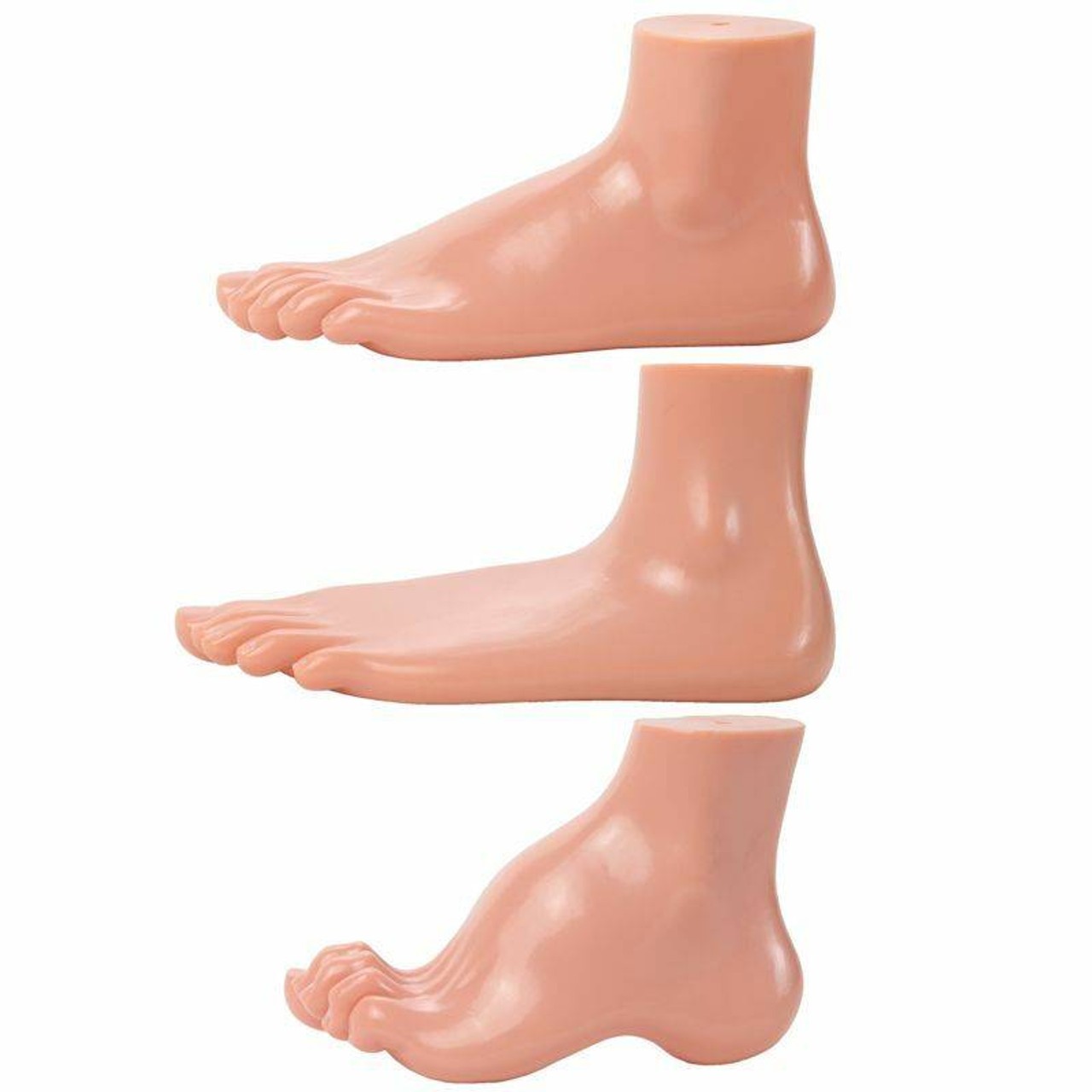 Axis Scientific Set of 3 Feet - Flat Foot, Arched Foot and Normal Foot