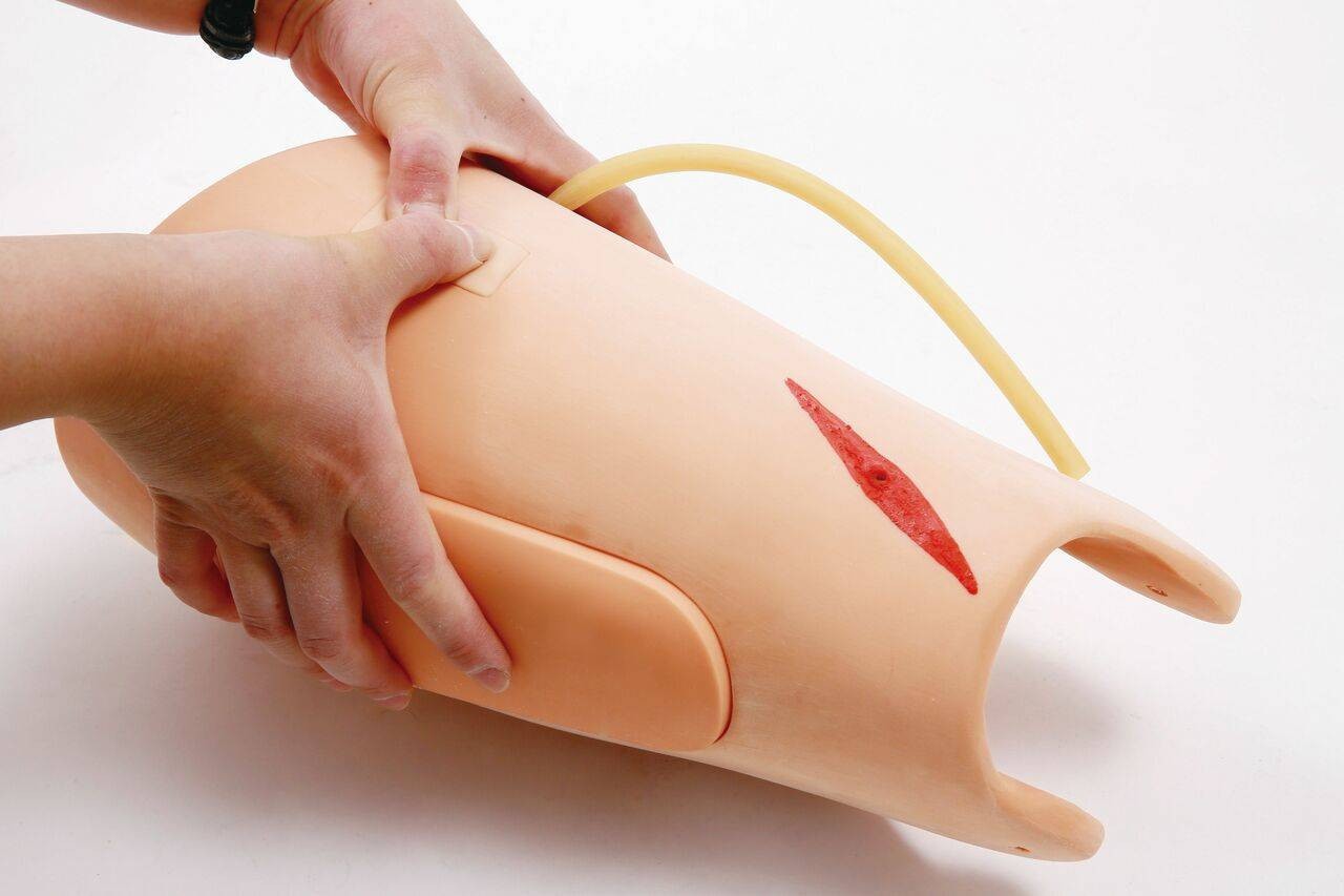 Anatomy Lab Amputated and Trauma Bleeding Leg