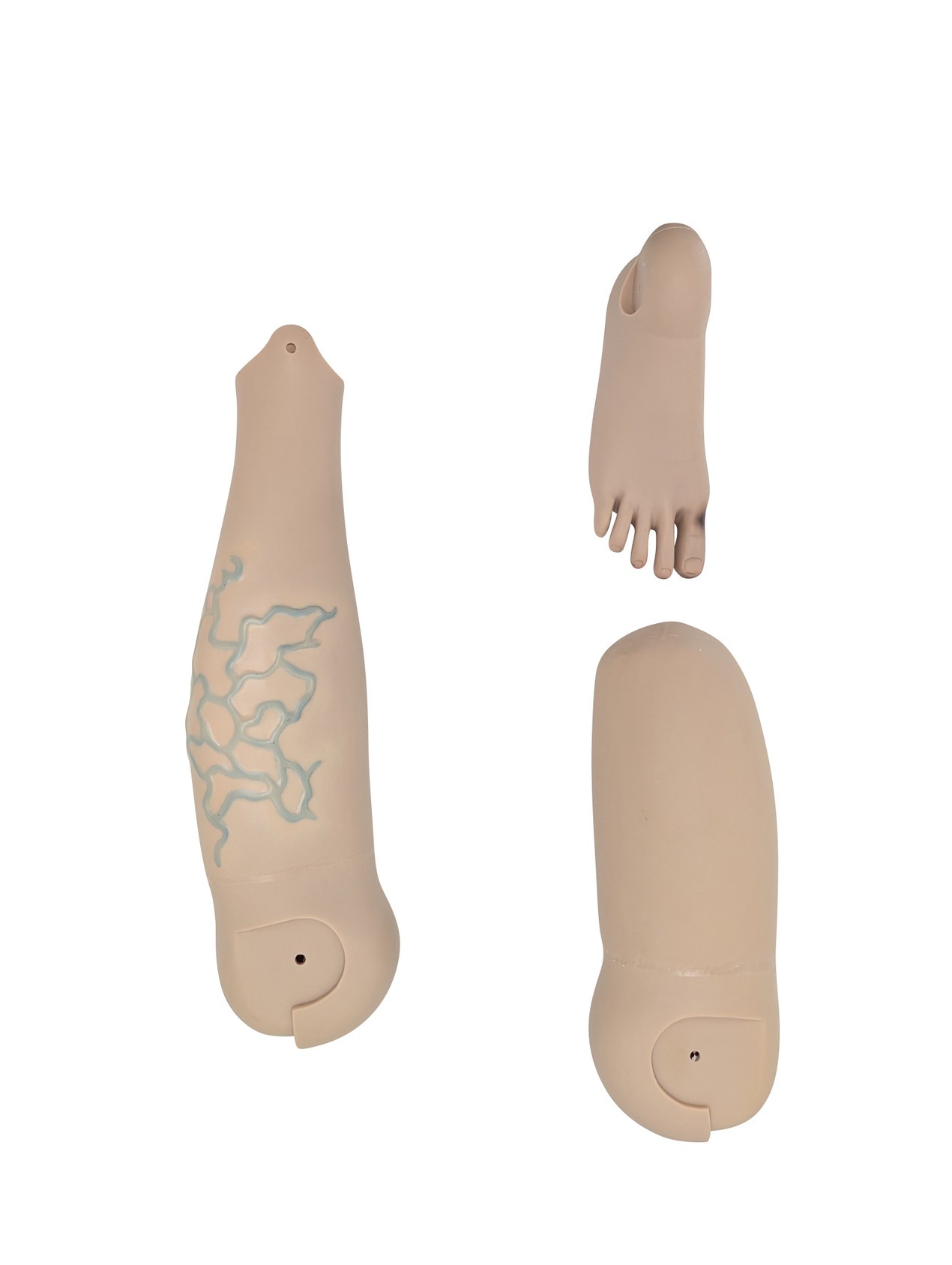 Anatomy Lab All Purpose Care and Trauma Manikin