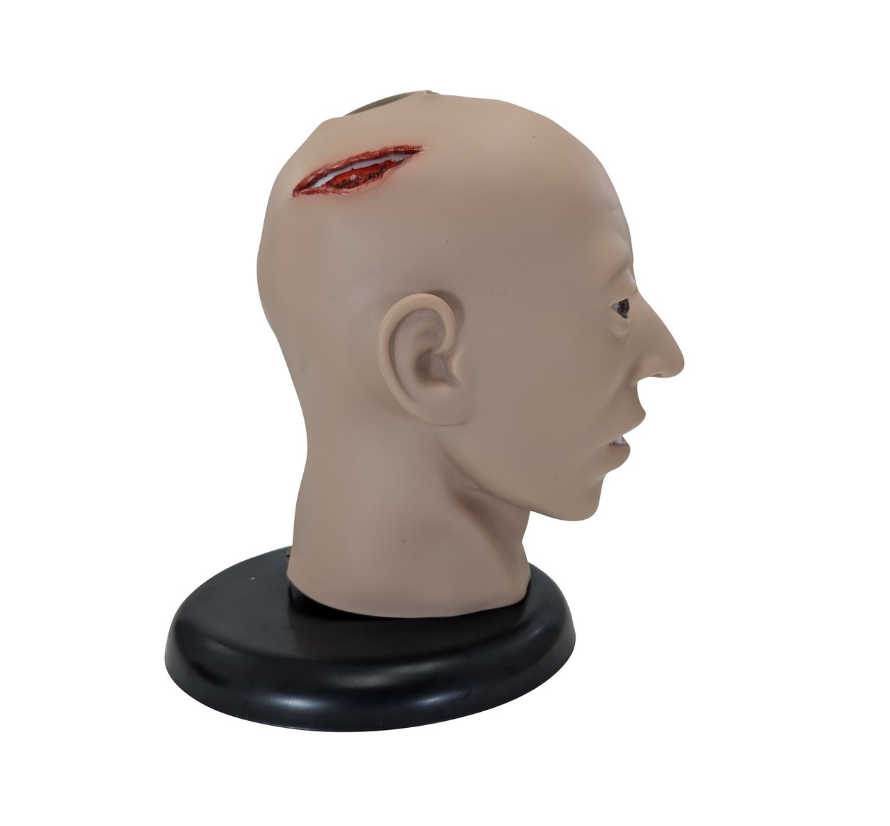Anatomy Lab All Purpose Care and Trauma Manikin