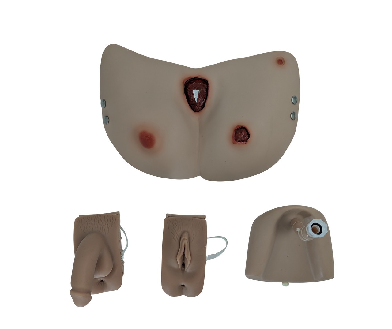 Anatomy Lab All Purpose Care and Trauma Manikin