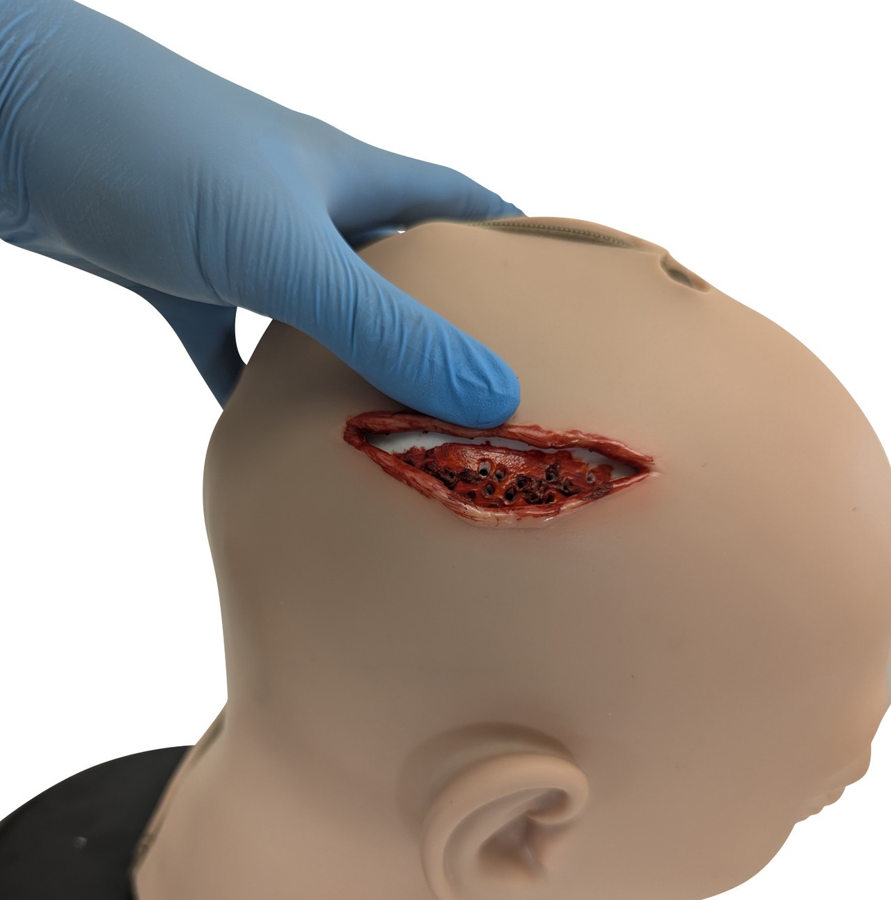 Anatomy Lab All Purpose Care and Trauma Manikin