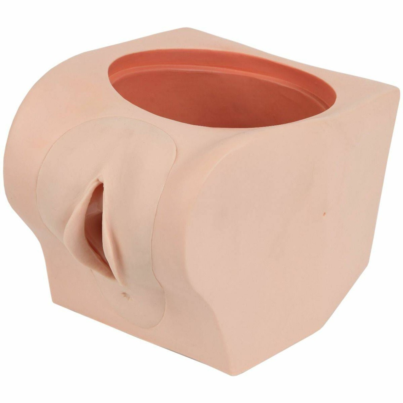 Anatomy Lab Female Contraception Trainer