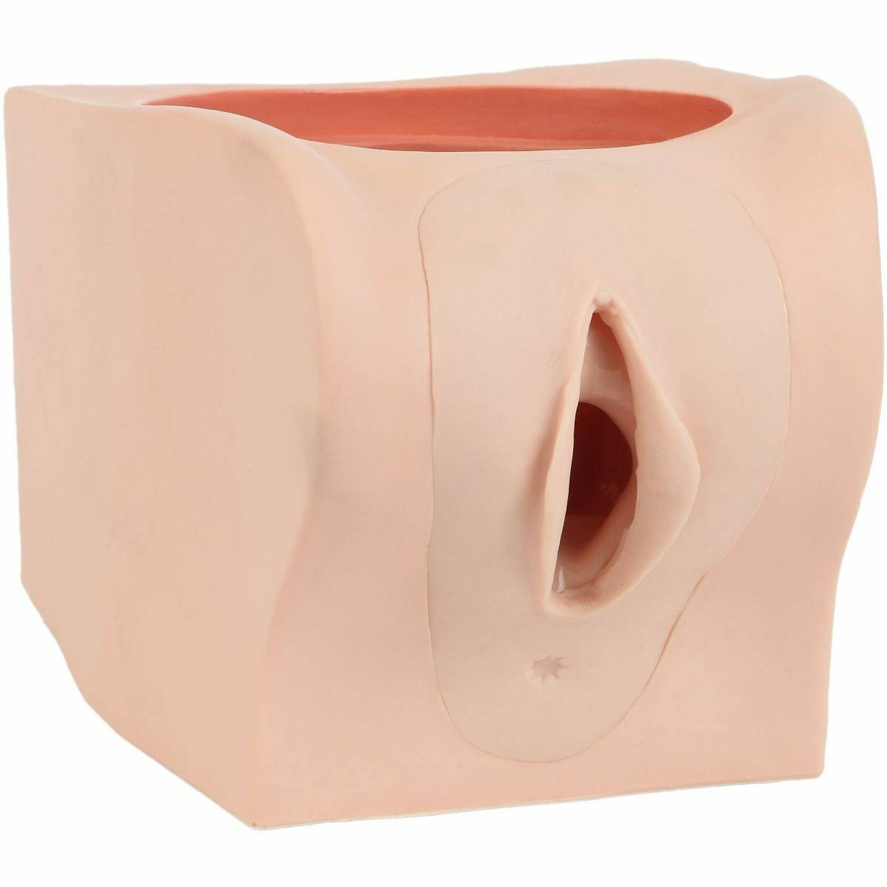 Anatomy Lab Female Contraception Trainer