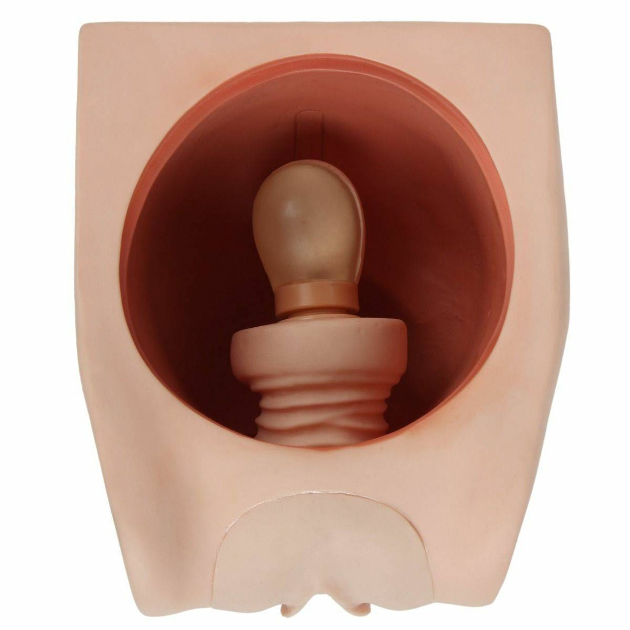 Anatomy Lab Female Contraception Trainer
