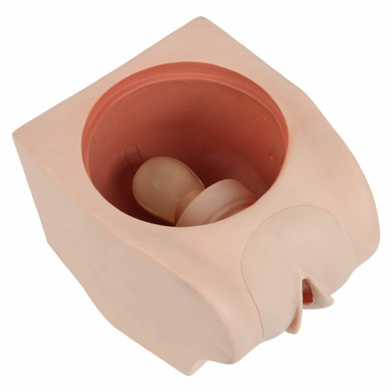 Anatomy Lab Female Contraception Trainer