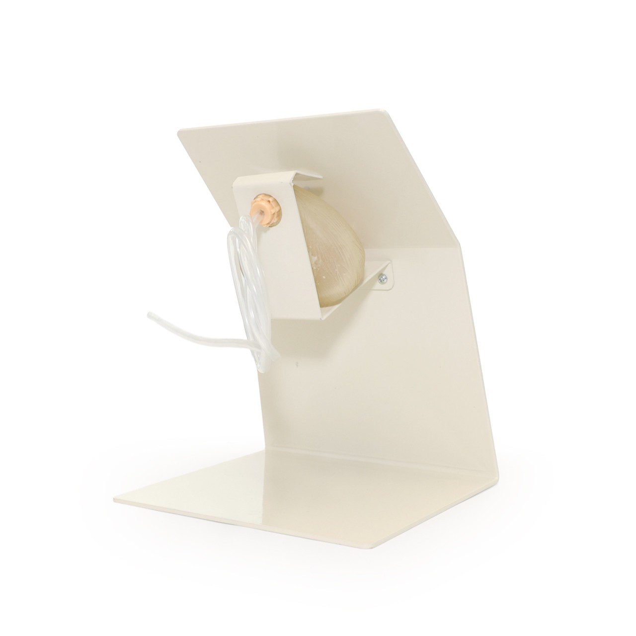 Anatomy Lab Advanced Portable Female Catheterization Model