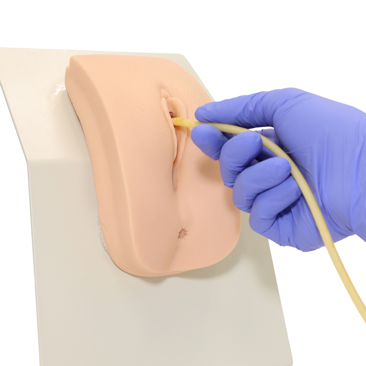 Anatomy Lab Advanced Portable Female Catheterization Model