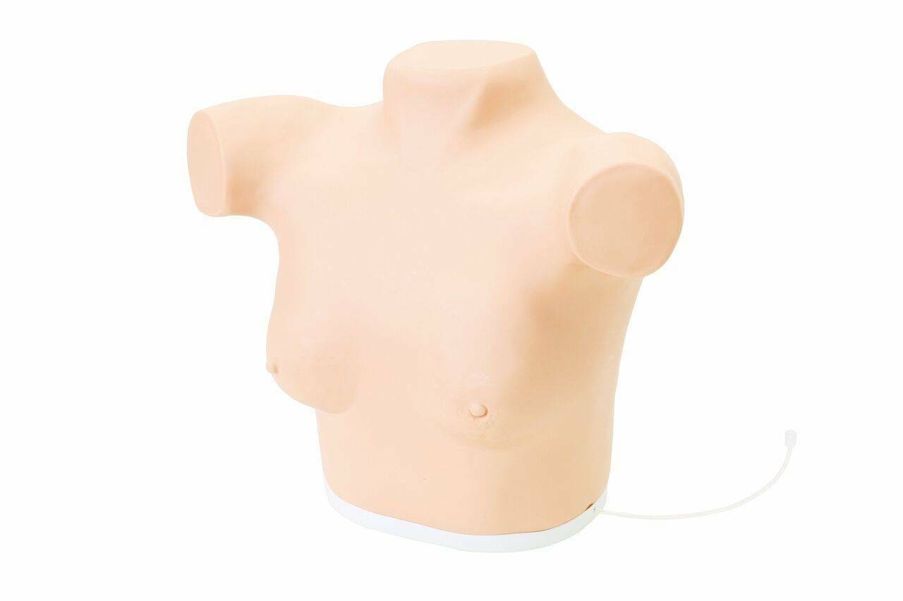 Anatomy Lab Breast Gland Examination Training Model
